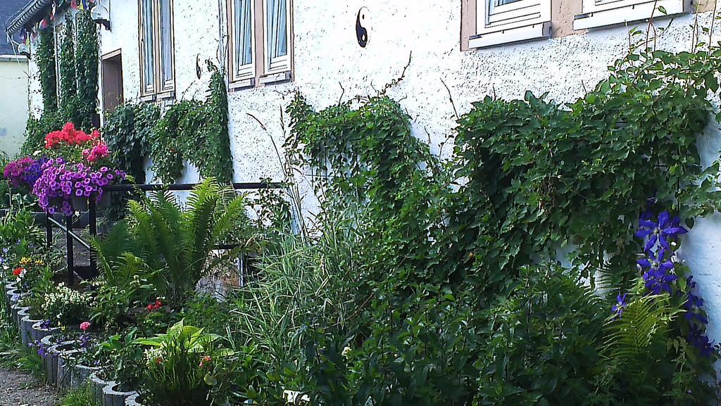 Sapana Apartment Pockau Екстериор снимка